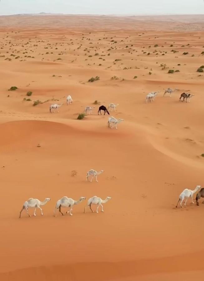 Desert Diamond Private New Camp Badīyah Екстериор снимка