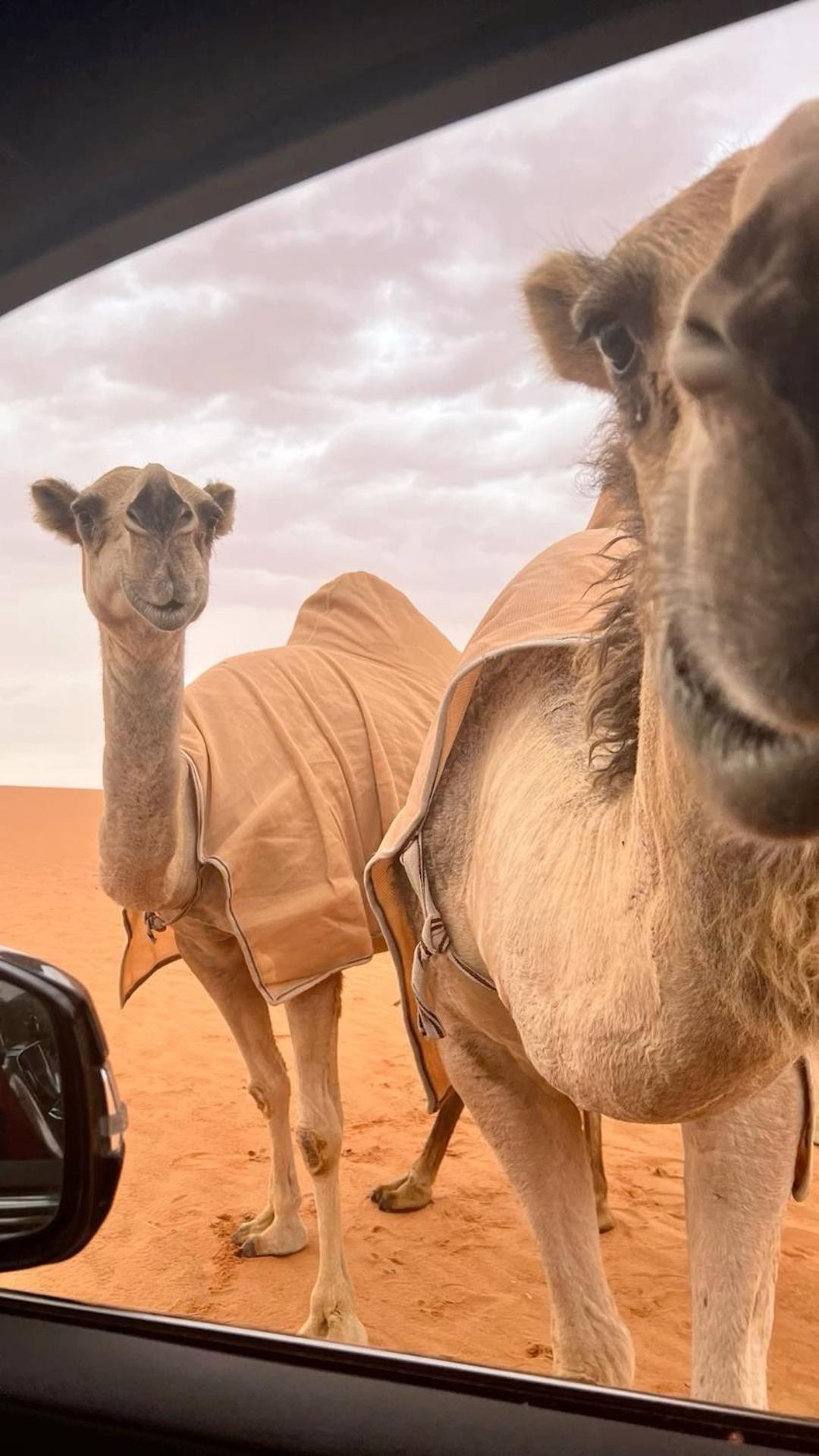 Desert Diamond Private New Camp Badīyah Екстериор снимка